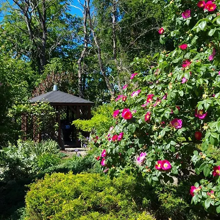 Dom Na Bukowym Wzgorzu 3*