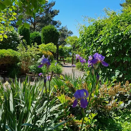 Dom Na Bukowym Wzgorzu 住宿加早餐酒店