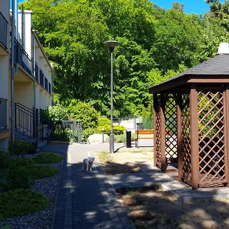 Dom Na Bukowym Wzgorzu