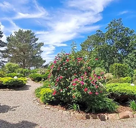 Bed and Breakfast Dom Na Bukowym Wzgorzu Wicko (West Pomeranian)