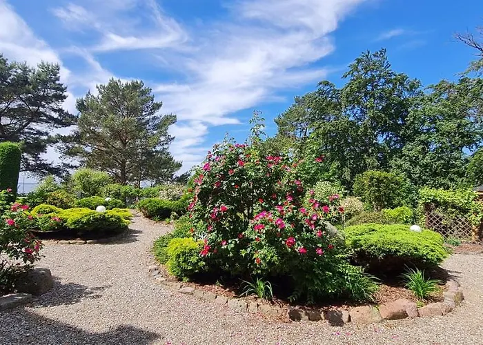 Dom Na Bukowym Wzgorzu Wicko (West Pomeranian)