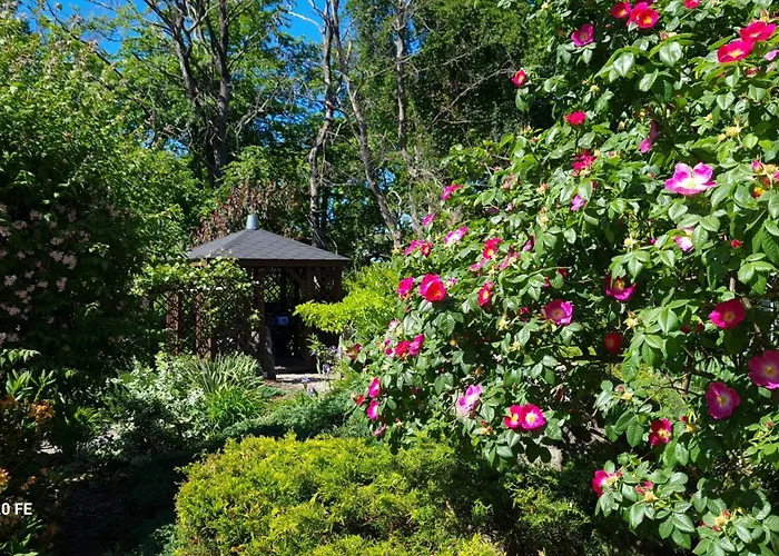 Dom Na Bukowym Wzgorzu 3*