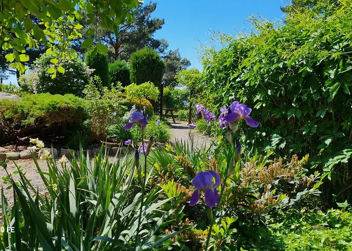 Dom Na Bukowym Wzgorzu 住宿加早餐酒店